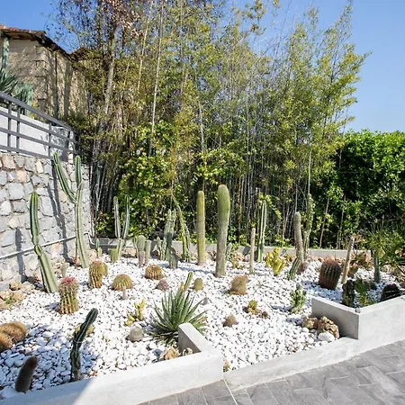 Strada Degli Olandesi - Panoramic By Halldis *